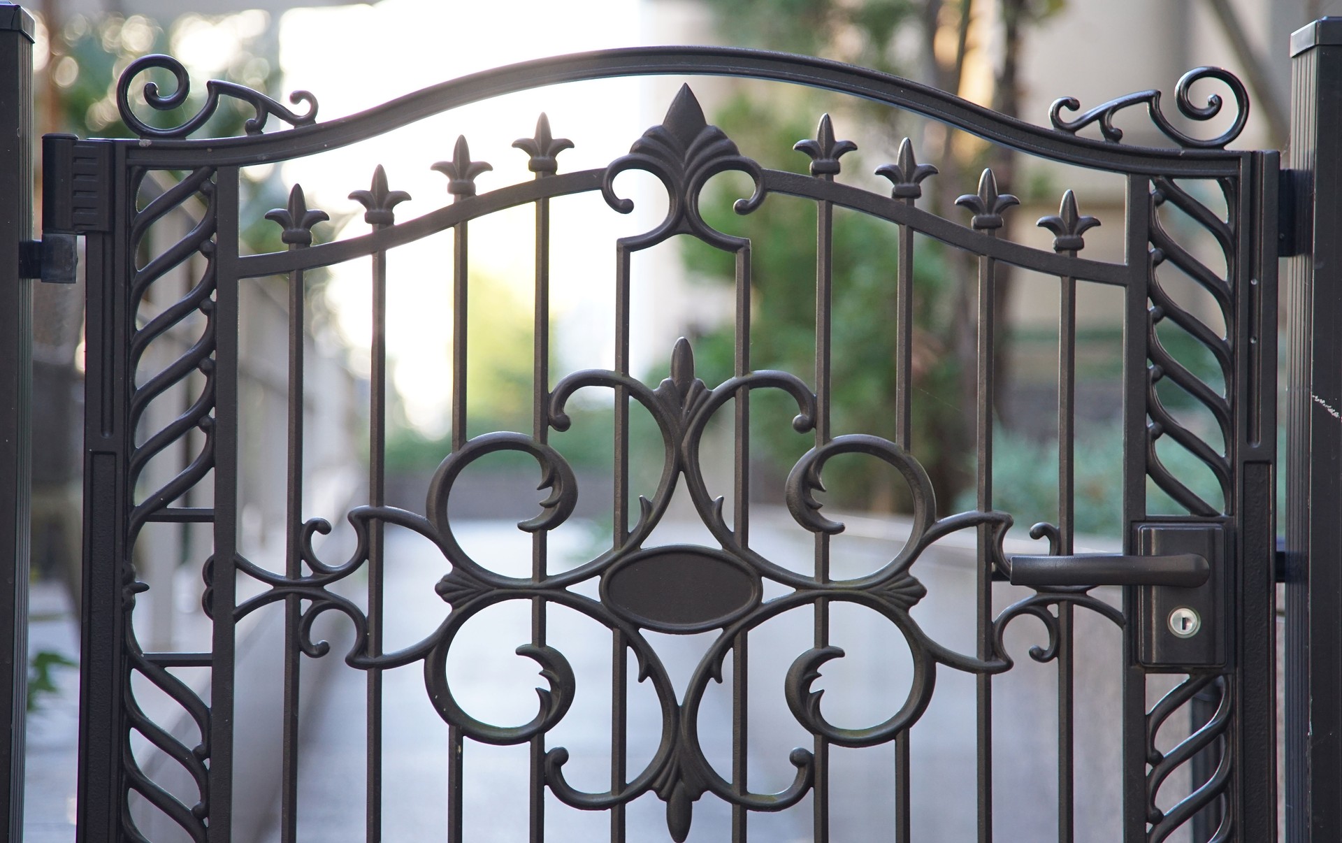 The gate with the iron
