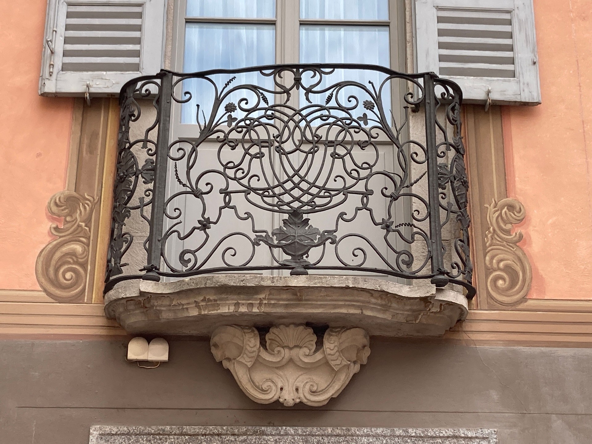 Wrought Iron Grill with curved S  Scroll and Floral Design